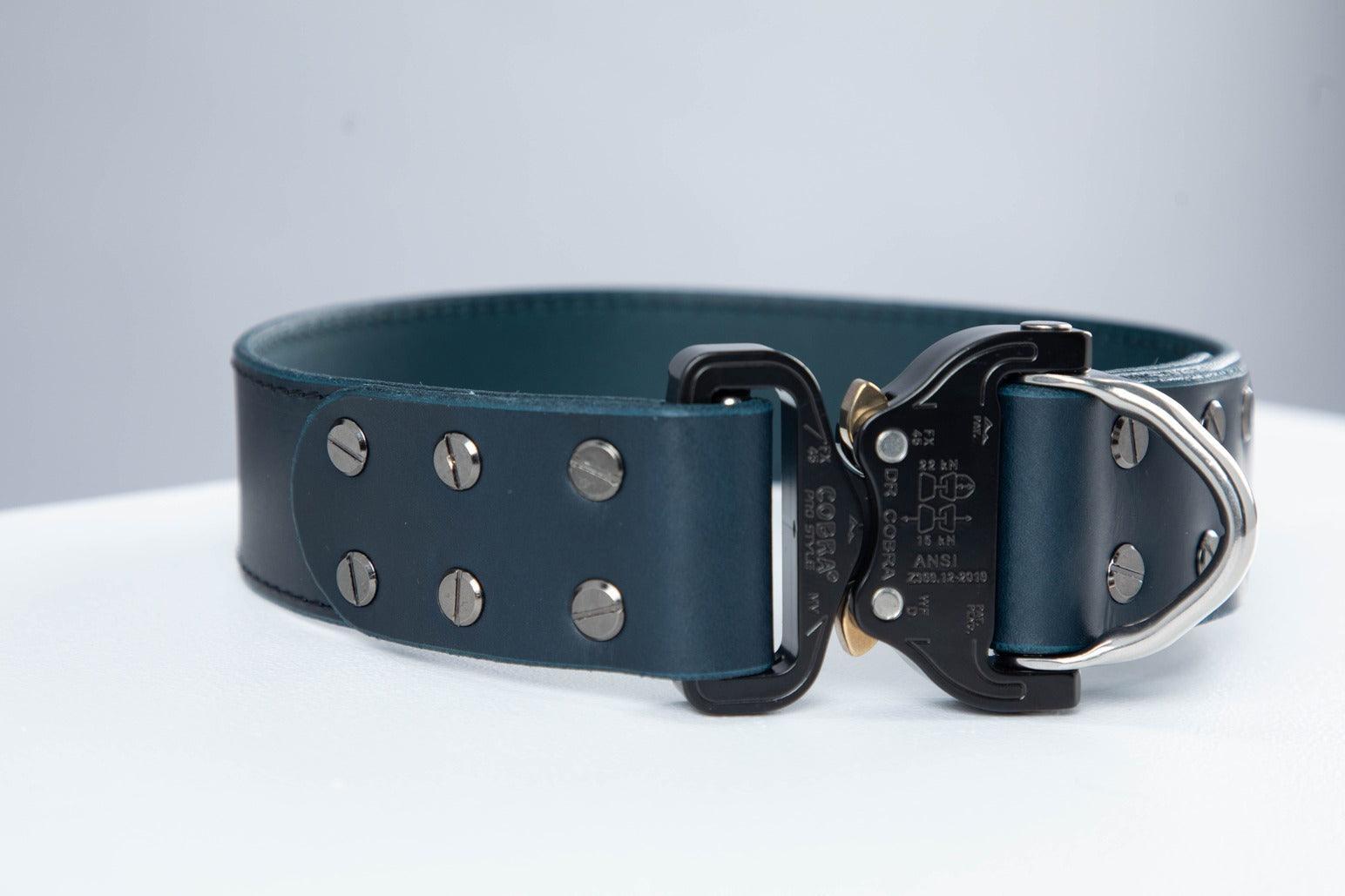 Blue Alpha COBRA Buckle Dog Collar