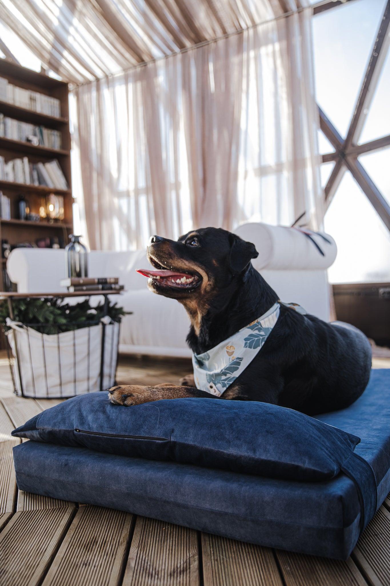 Extra large dog bed for 2 dogs best sale