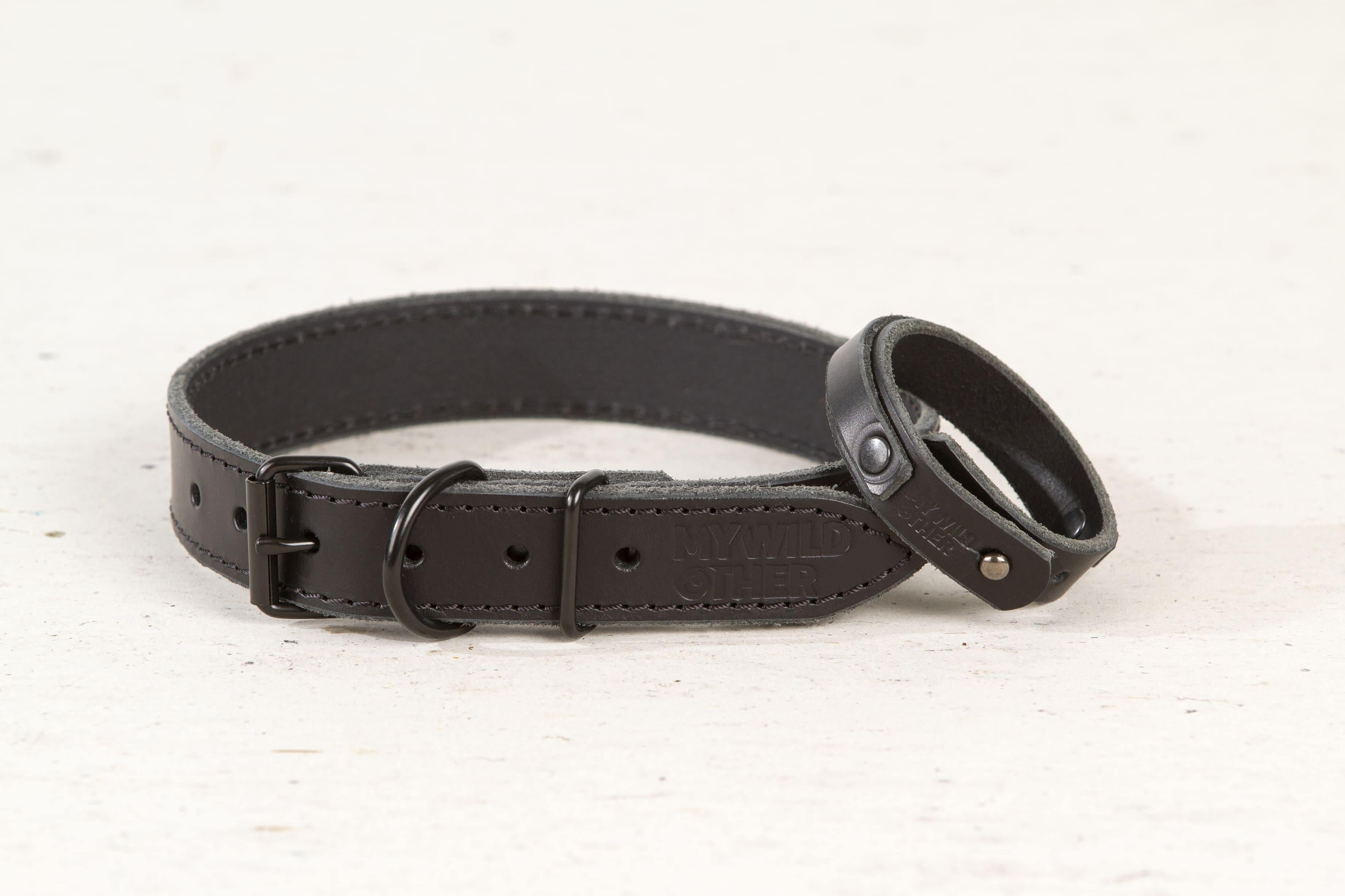 Minimalist leather dog collars animalistus