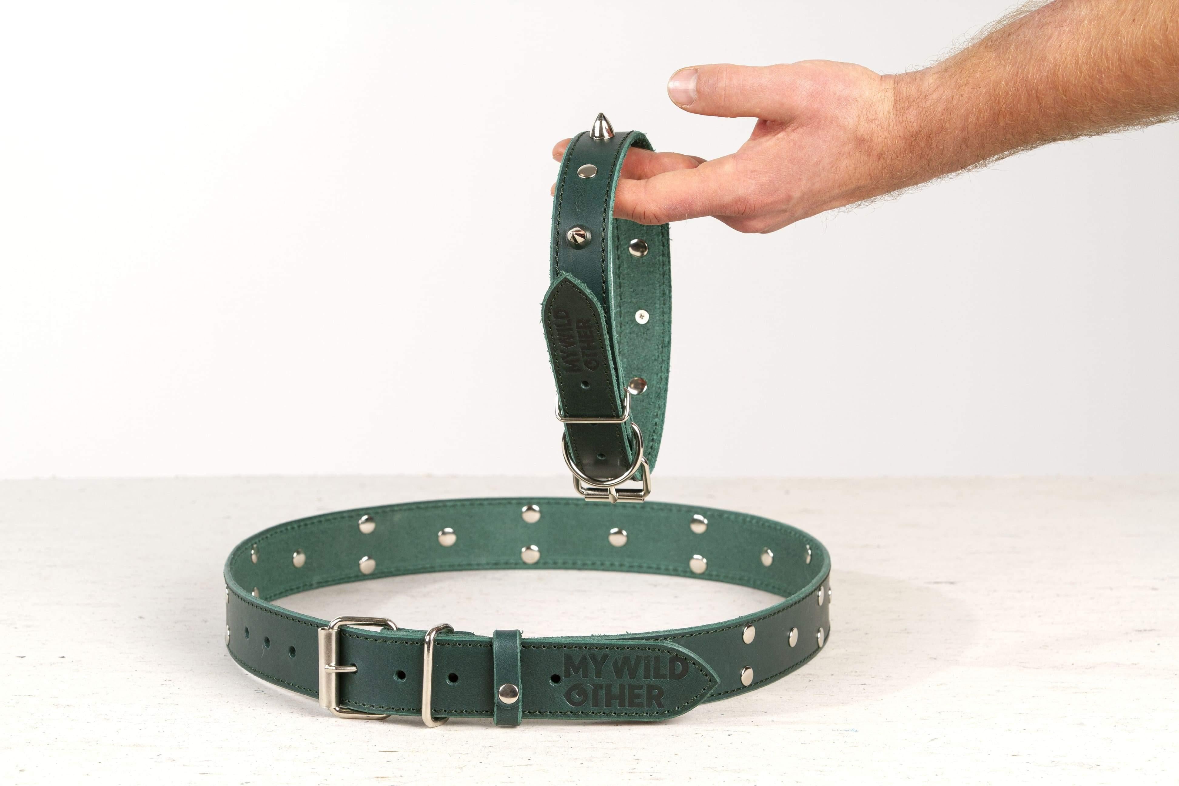 Dark green clearance leather dog collar