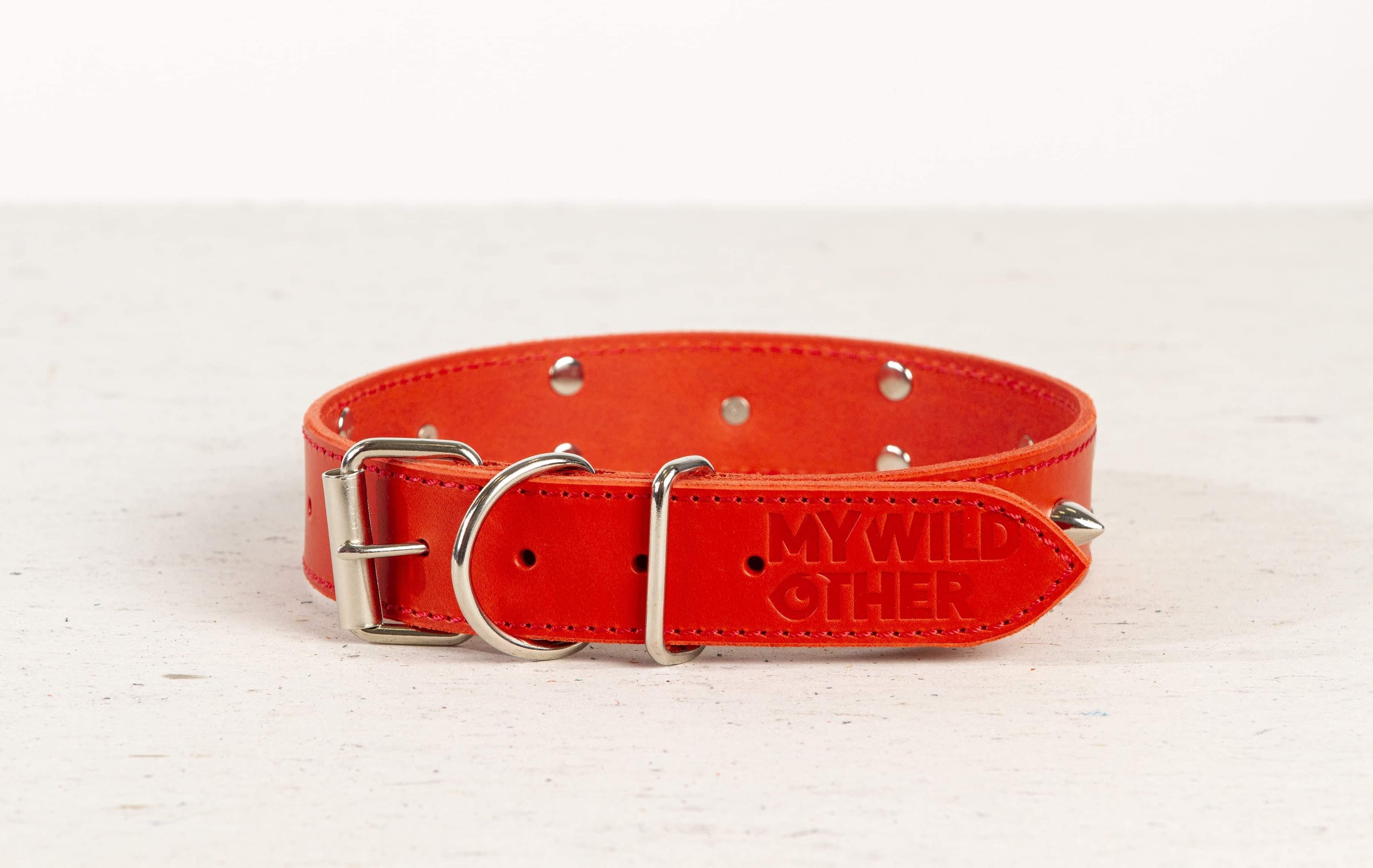 Red studded 2024 dog collar